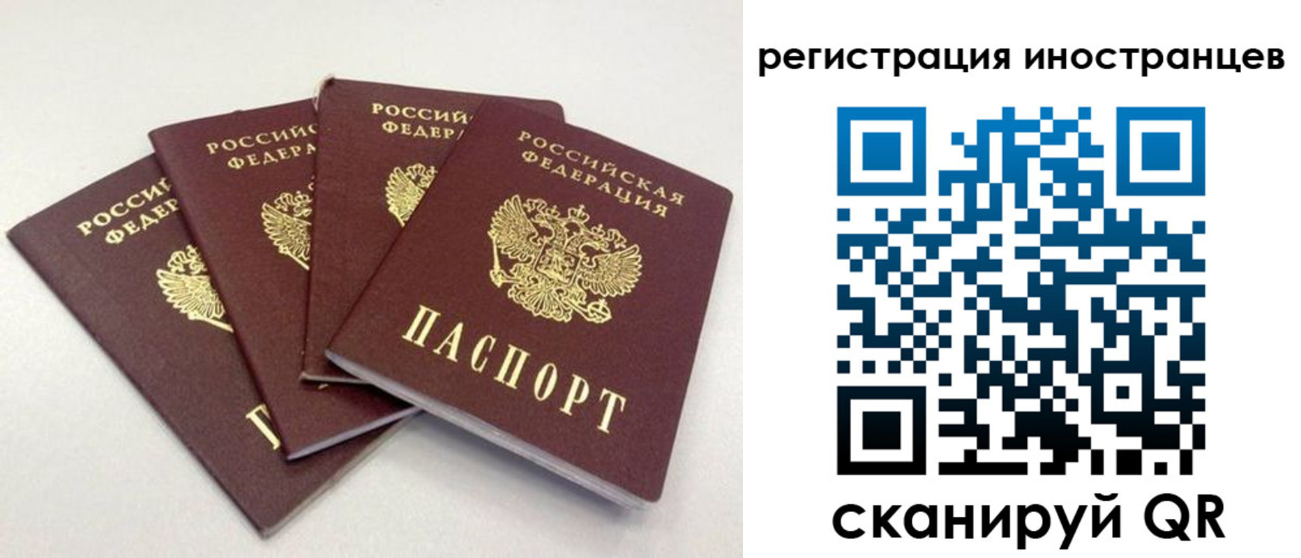временная регистрация для школы в Ростове-на-Дону